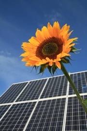 Sonnenblume vor Solarpanels - Bild: Rainer Sturm/pixelio.de