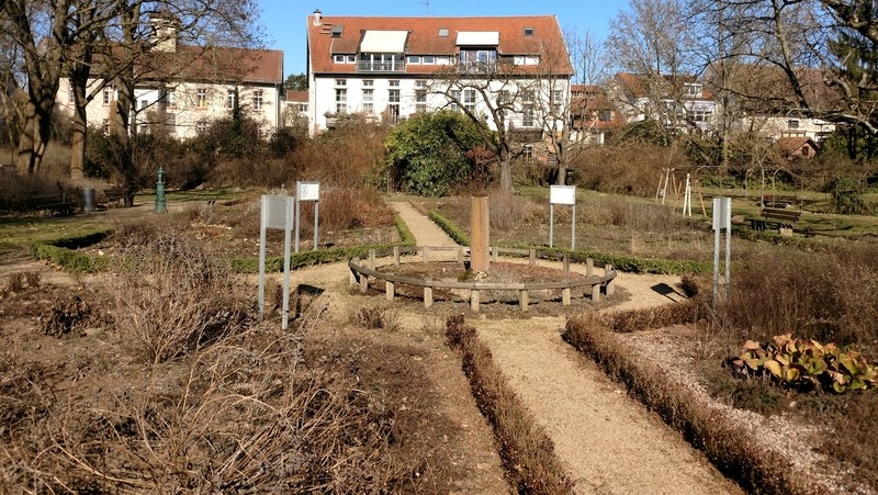 Ein Bild, das draußen, Gras, Himmel, Pflanze enthält. Automatisch generierte Beschreibung